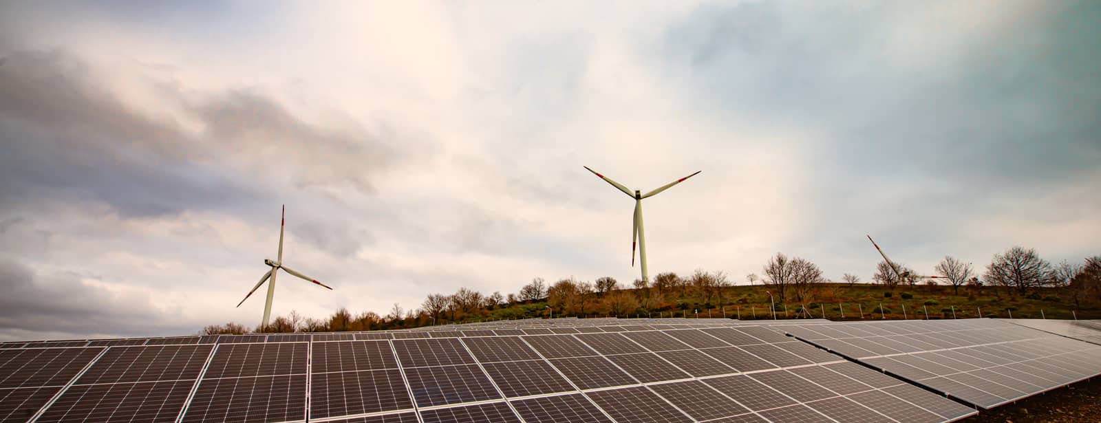 Rows of solar panels at sunset with wind turbines behind them.